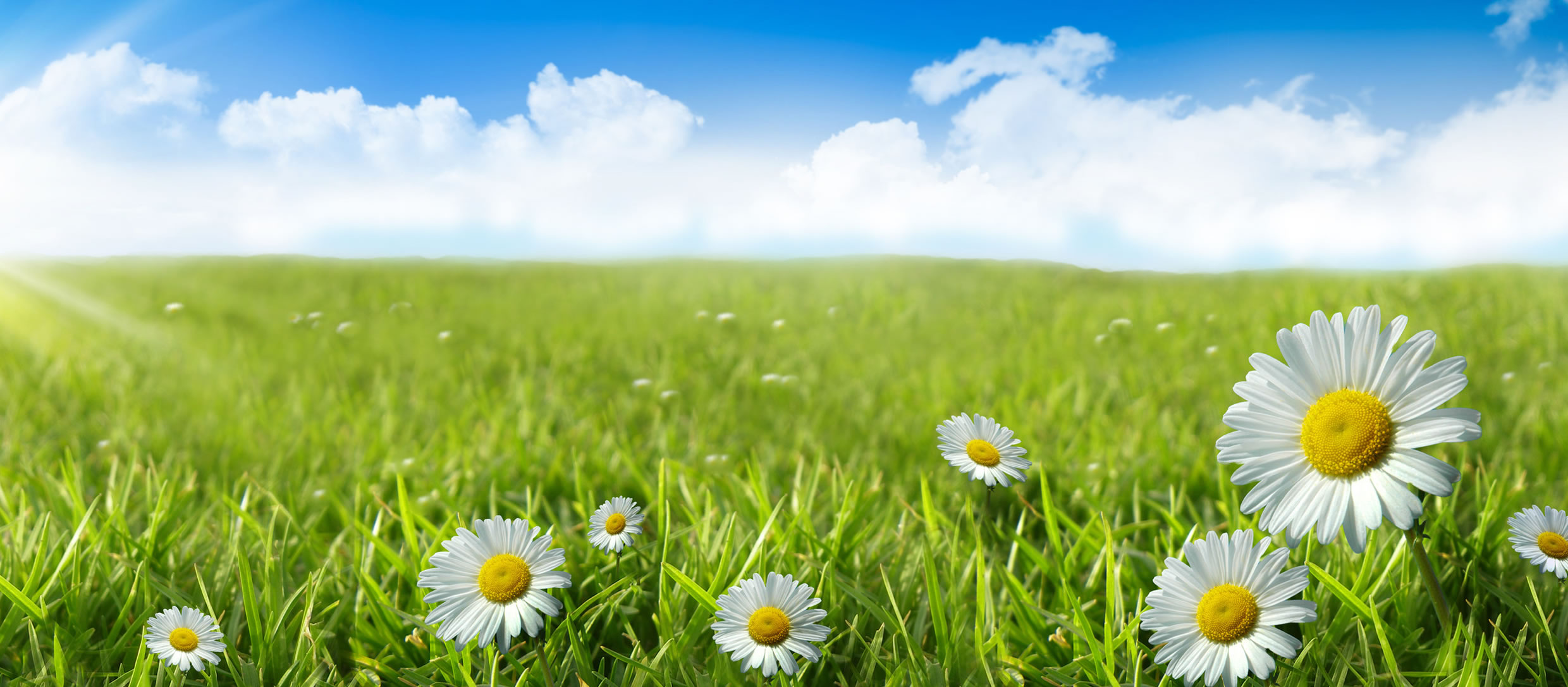 Lawn Fertilization Information Casper, Wyoming