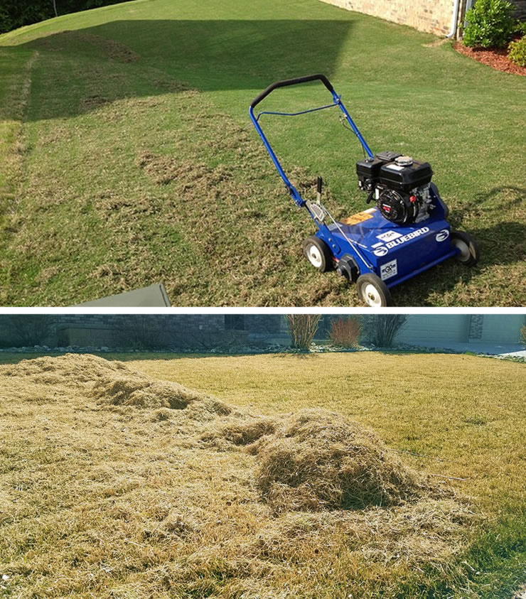 Complete Lawn Care