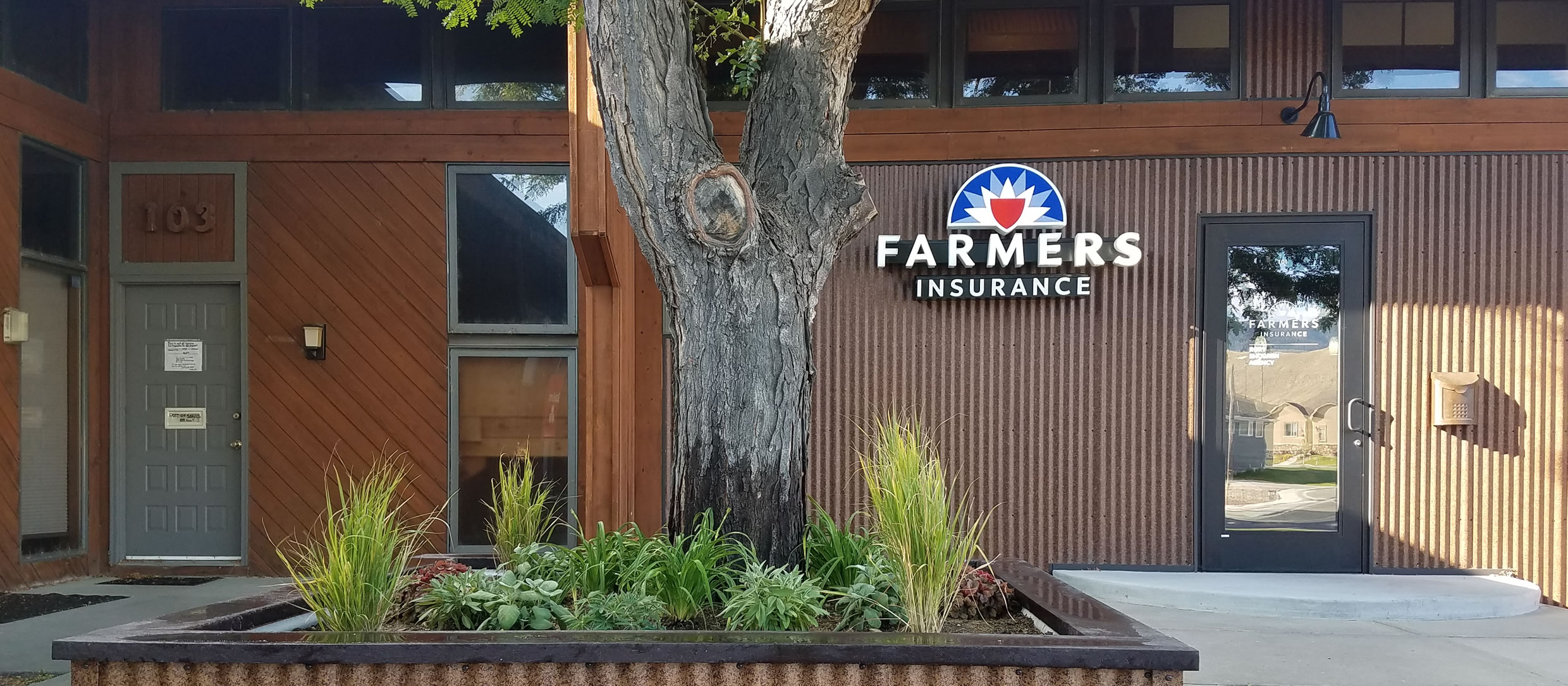 Tree Pruning Service Casper, Wyoming